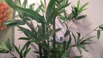 MMV films - The Original: Private videos from Germany - Scene #12