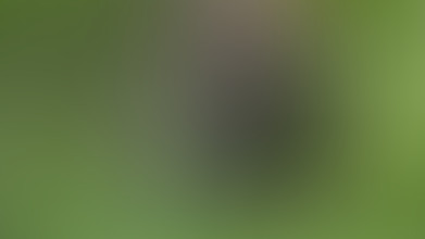 Locked due to age restriction