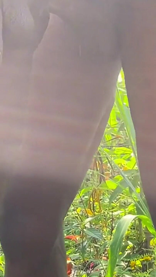 Bareback Fuck in the Farmland (Purplecum)