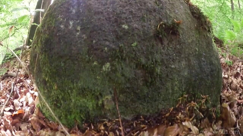 Faye Taylor: Desperate to pee in the woods No.2