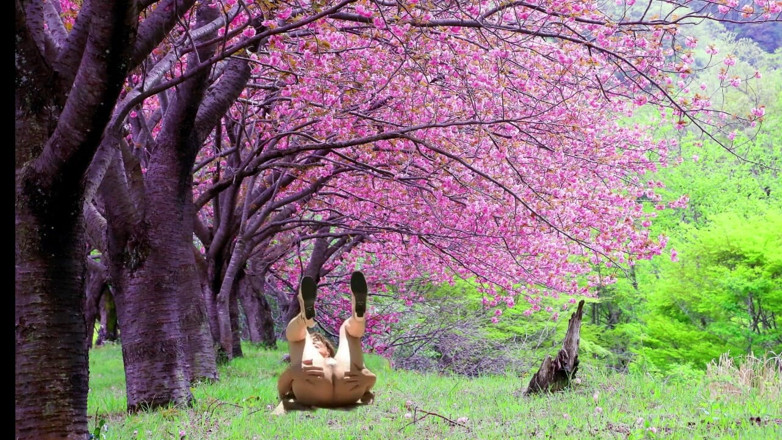 Pai-chan: Blooming Spring