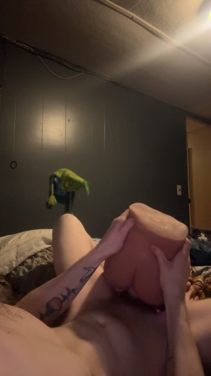 Dalton lee: Leksakstid