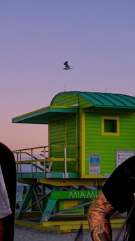 카포네는 왜 못생긴 여성들이 더 많은 사랑을 받을 자격이 있는지 알려줍니다!