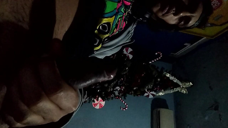 AlexAlejandro13: Přeji ti veselé Vánoce