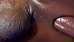 Ms300 Sarazia Exotic: Grande Nero E Cremoso Parte 1