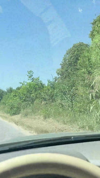 Mijando pela janela e mijando na boca na estrada