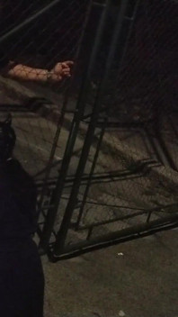 Suck Pig Sucking Fat Cock Outdoor