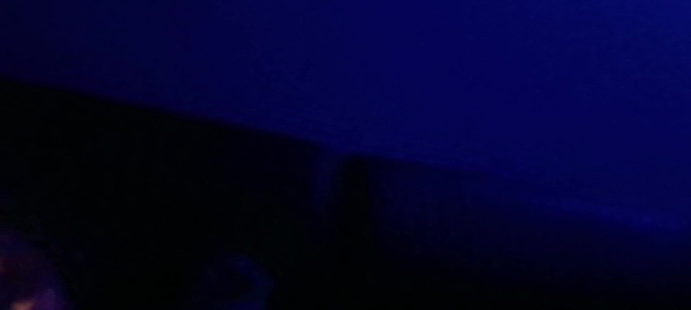 Blue rose: Clouds in Pussy