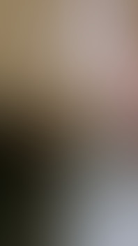 Lively foursome with a splashy entry