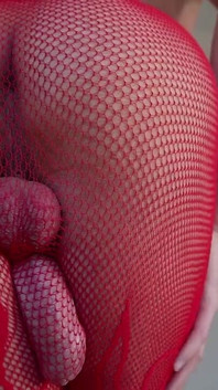 Harry_jen Fetish Slutty Gay in Mesh Stockings