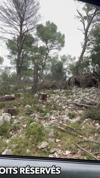 Essa Vadia Vai Para a Floresta Ser Fodida No Banco De Trás Da Caminhonete