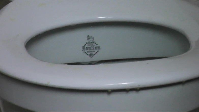 DanielleMaye: Nô lệ nhà vệ sinh