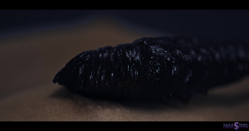 Parasited: Gece hareketsizliği bölümü