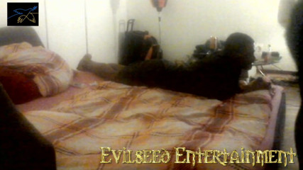 Evilseed Entertainment: Bowling après minuit et plus