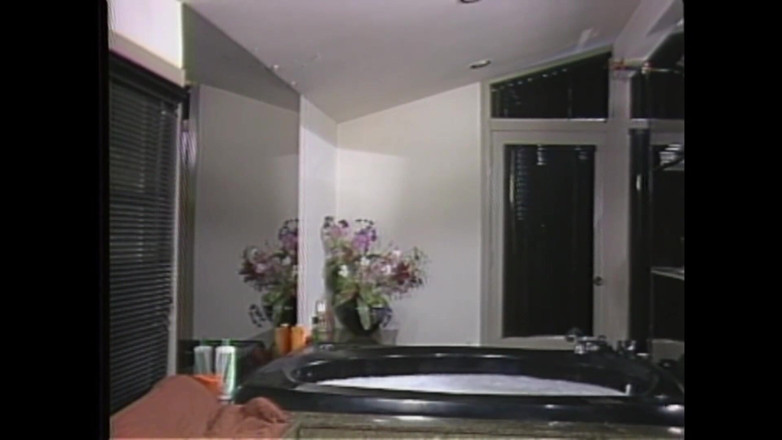 Vintage Megastore Full hd: Gina Carrera și Jerry Butler Hard