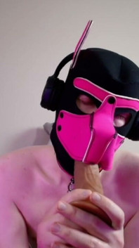 This Could Be Your Cock in Hound's Mouth