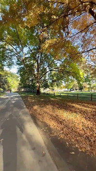 ช่วยตัวเองในที่สาธารณะ – Boise Idaho Greenbelt จักรยานเดินเท้า