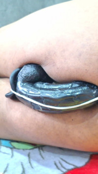 Jdbdbxn
