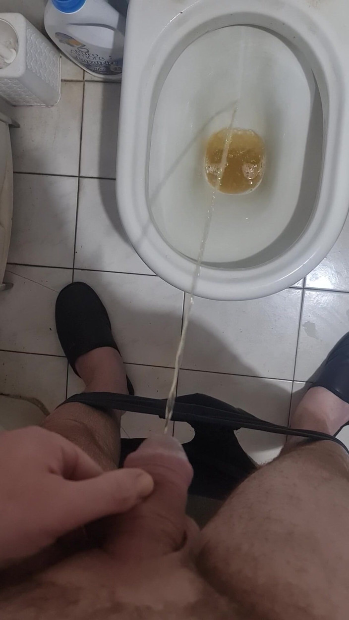 Mirko2589: トイレでおしっこします