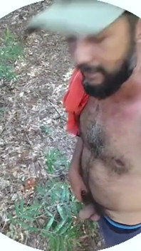 In the Woods