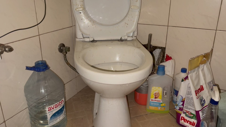 Elena917: Licking Dirty Floor and Toilet, Flashing Head in It
