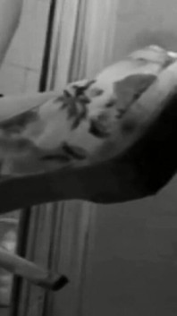 Dominanz 0297
