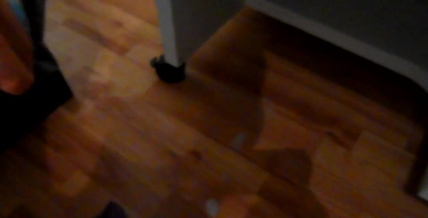 Amadeus: イッちゃう!!アマデウス・モード