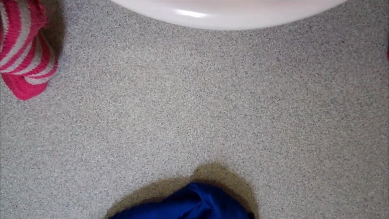 Scarlet Vixen: Kompilacja fetyszów toaletowych