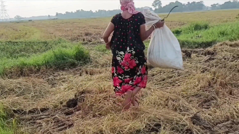 my house: Kencing di lapangan terbuka padi cutting nomita boud