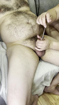 Penis zvuk 11-10-24