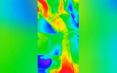 Live Sessions Davydwolf69 NSFW