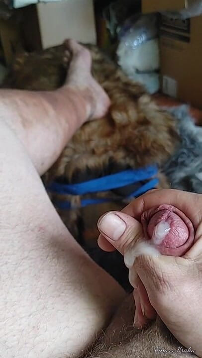 BigManShaman: Rimorchiare il cazzo