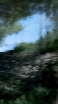 Nicky Wayne: Kevin Has Problems with Wasps While Shooting Outdoor