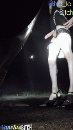 2 Transvestites Offered in the Forest. Waiting for Beautiful Cocks in a Parking Lot. Night Show thumbnail