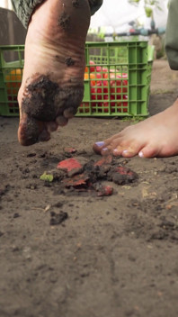 Squashing Tomatoes Barefoot in the Dirt Asmr