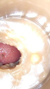 Camera 4K in Anal Cervix POV, Tiny Cucked by Giant ''couple'', Cum in Anal and Creampie - Asmr