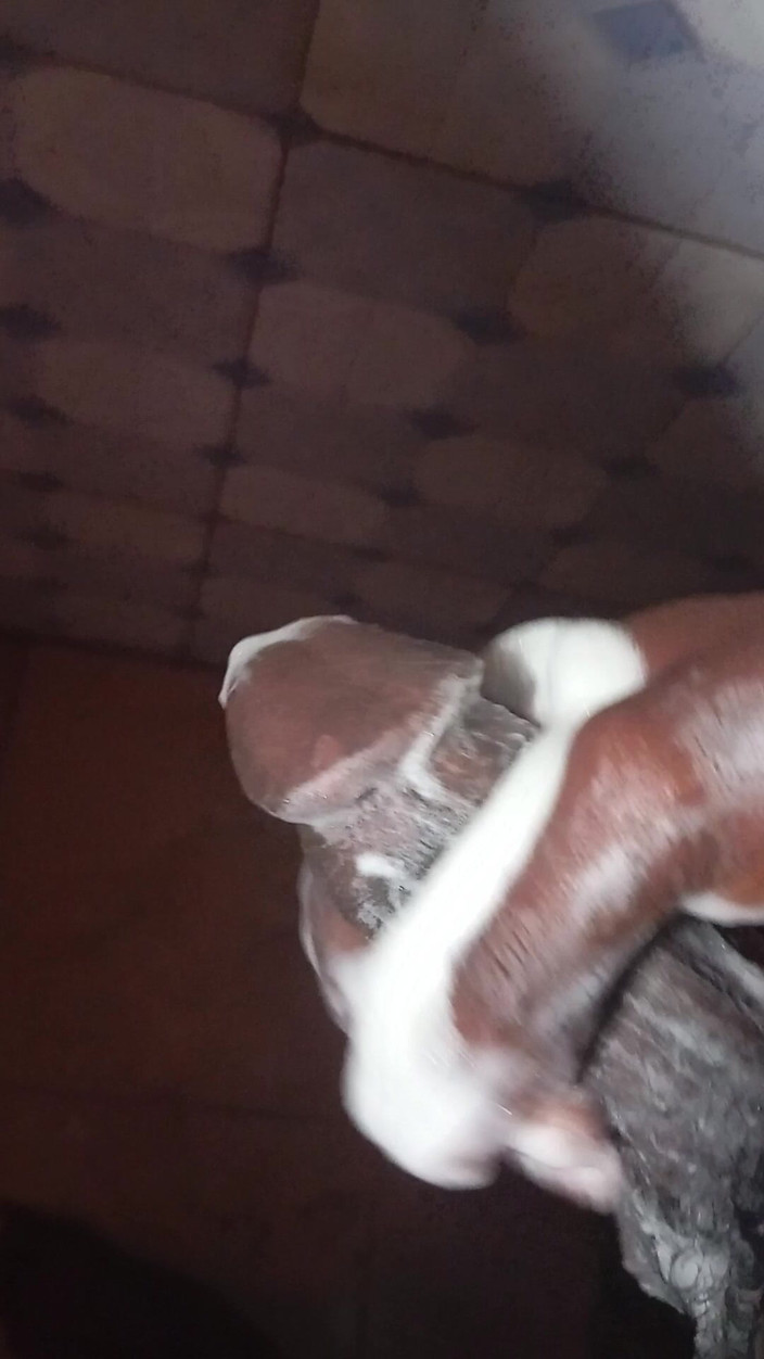 JasperTv1: 独自在家