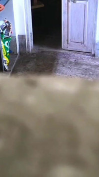 オフィスでセックスをデジ、自分のビデオをこっそり作って楽しんだ