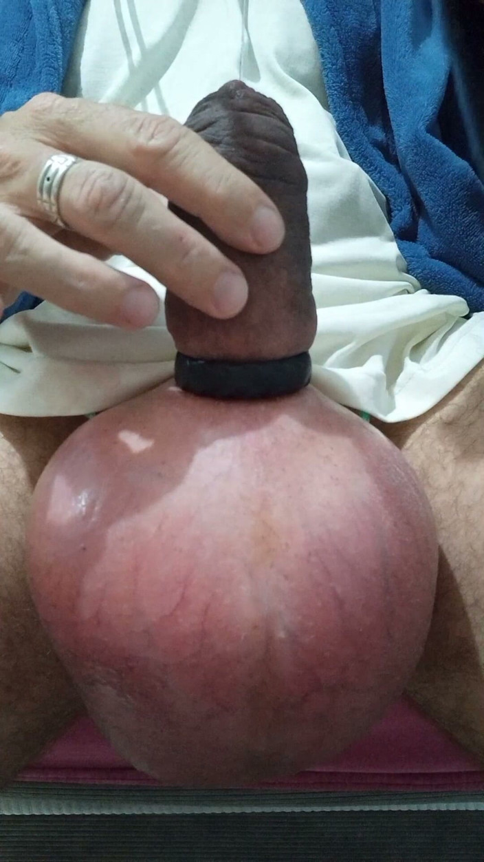 Lion big balls: Infusion Sack