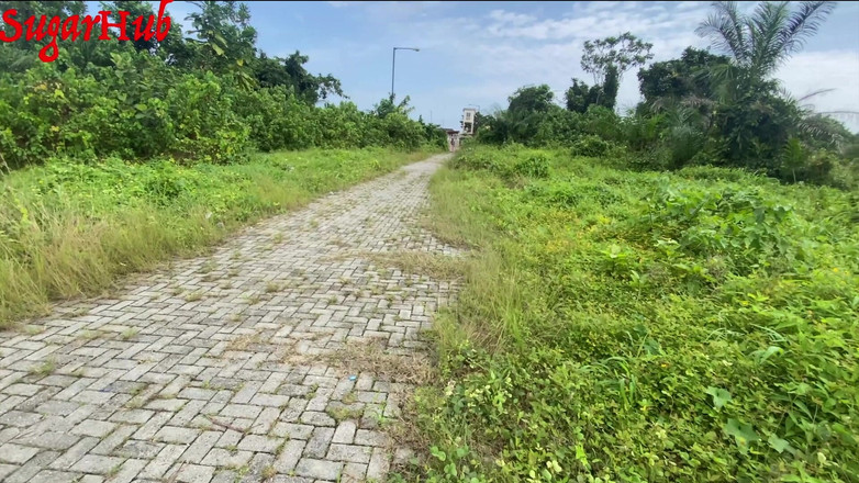 Sugarhug: Ich Ficke Den Uber-fahrer, Nachdem Er Meine Fahrt Beendet Hat