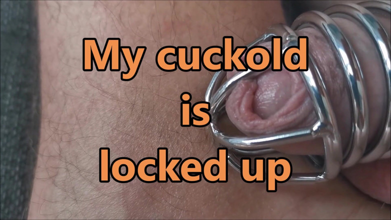 Cuckoby: Încornoratul este închis și soția se fute cu taurul