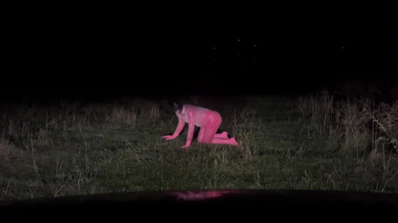 PervyLara: Pink Latex Petplay Outdoor Sissy