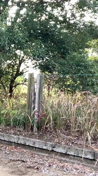 Latihan diri 51. Secubit datang dengan melancap rotor di jalan