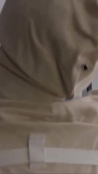Emerging From the Cocoon