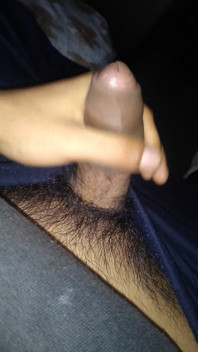Pleasure in the Afternoon