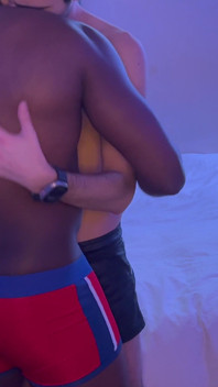Masivní velký černý pták Destorys Twink