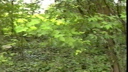 Showtime Official: Žádná intimita - celý film - italské video obnoveno v HD