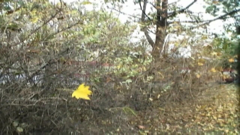 XXXEROTICONLY: ティーンガーは公園で犯され、口の中で潮吹きした