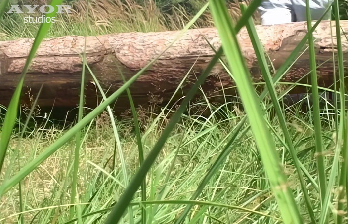 AYOR studios: На неправильному контрольному пункті оральне задоволення чекає на гарячих спортсменів