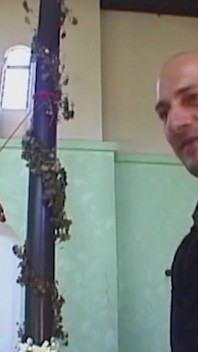 Alman BDSM dönüşümü
